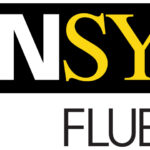 ANSYS Fluent