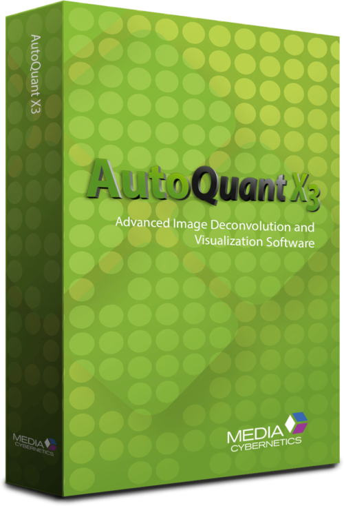 AutoQuant cover