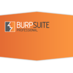 Burpsuite Profesional Edition