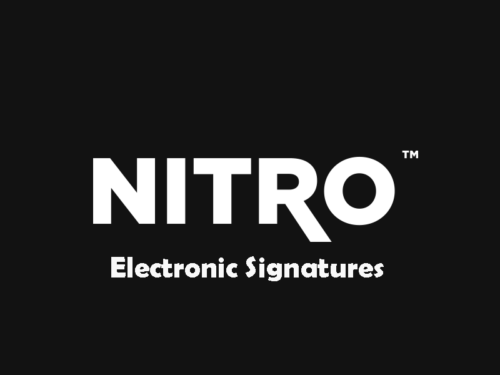 Electronic Signatures 1