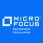 Enterprise Developer