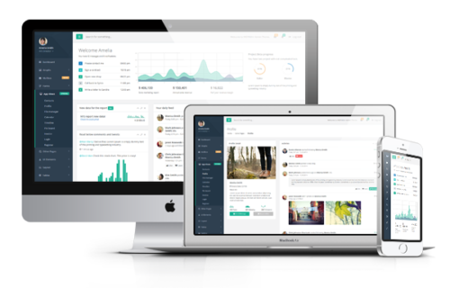 Insipina Admin Theme Single Application