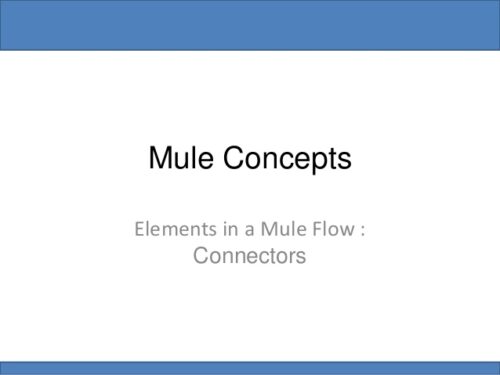Mule Connectors