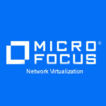Network Virtualization