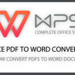 WPS PDF to Word
