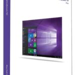 Windows 10 Professional FPP