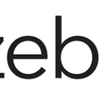 ZebraBI Starter for Power BI