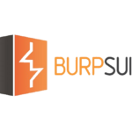 Burp Suite Enterprise Edition 2 User 1 Year